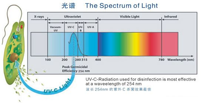 微信图片_20200311102339.png