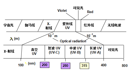 图片 11.png