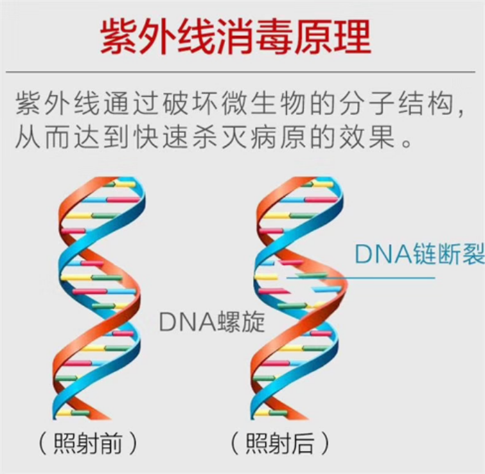 微信图片_20200217225234_副本.png 微信图片_20200217225234_副本.png