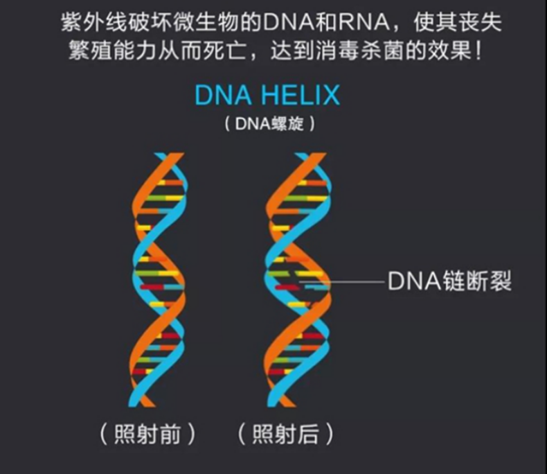 原理图_副本.png 原理图_副本.png