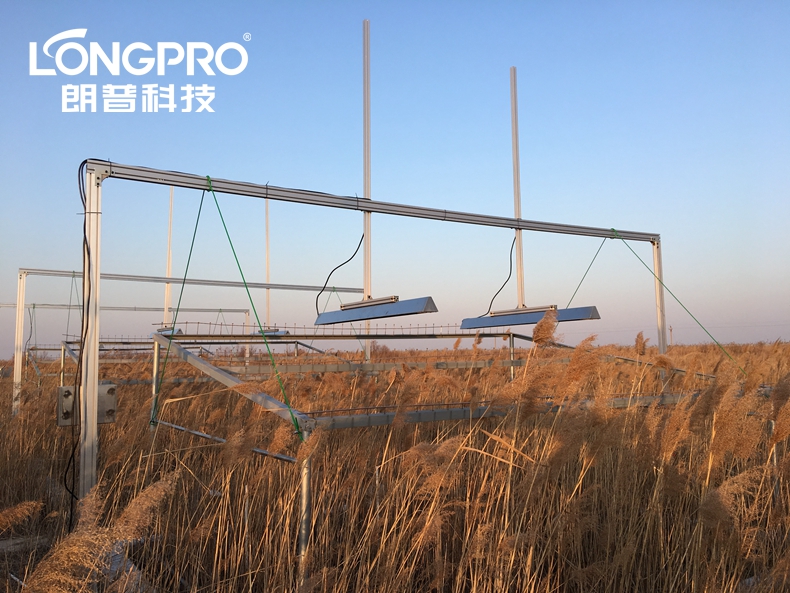中科院黄河三角洲芦苇地增温模拟实验.jpg 中科院黄河三角洲芦苇地增温模拟实验.jpg