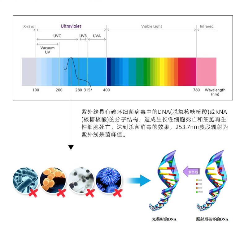 单端四针紫外线杀菌灯_08.jpg 单端四针紫外线杀菌灯_08.jpg