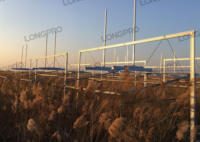 科研远红外增温实验.jpg 科研远红外增温实验.jpg